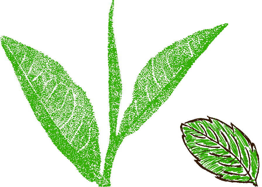 Marokko Grün