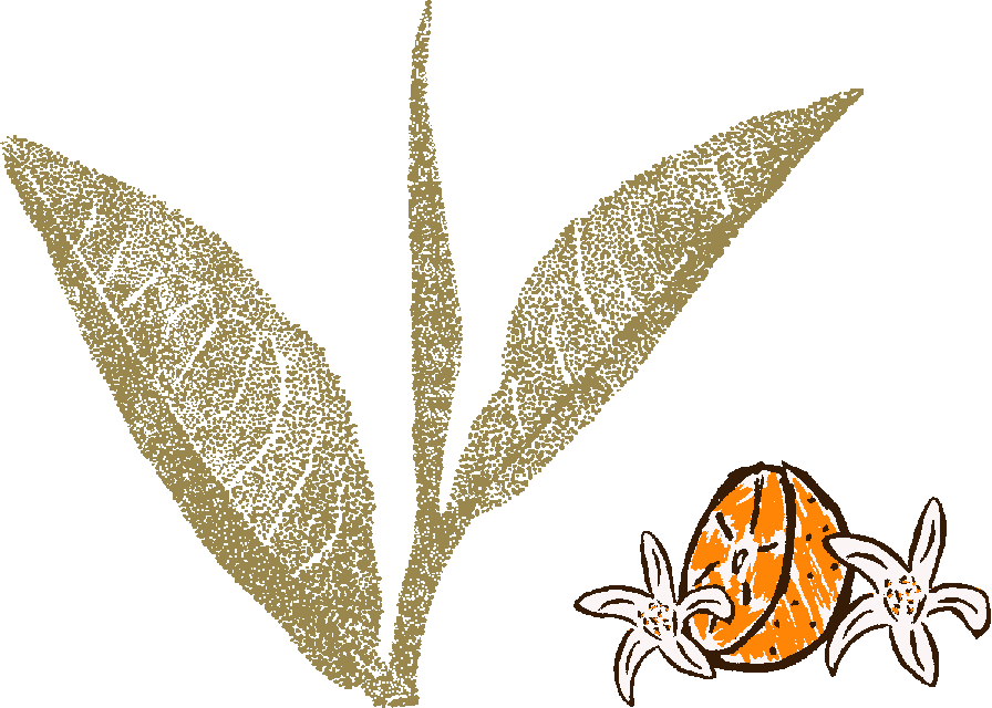 Taiwan Orange Oolong
