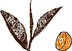 Orange Spezial