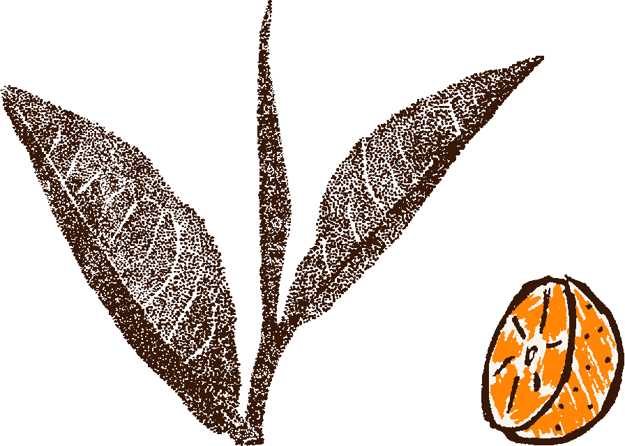 Orange Spezial