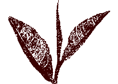 Roter Tee