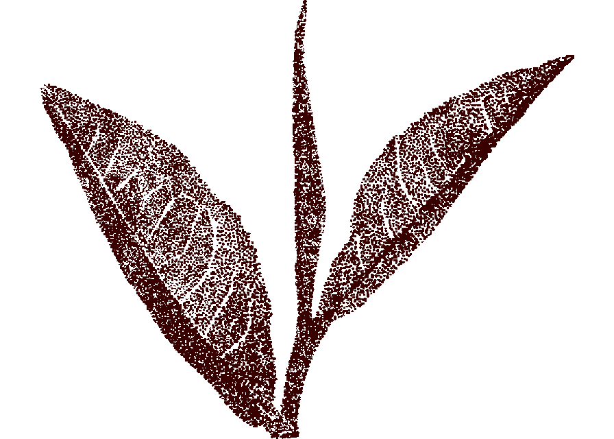 Roter Tee