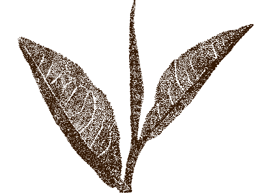 Schwarzer Tee